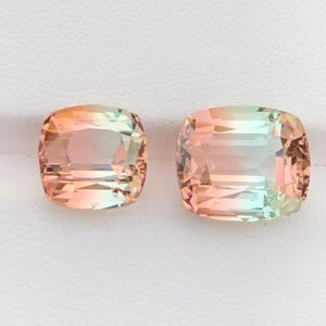 Bicolor Tourmaline