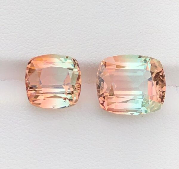 Bicolor Tourmaline