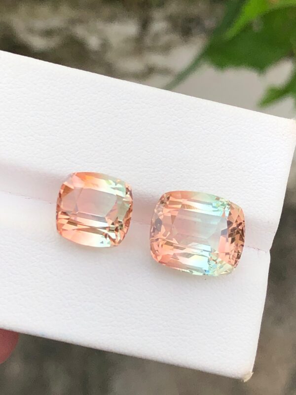 Bicolor Tourmaline - Image 2