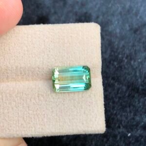 NATURAL BICOLOR TOURMALINE